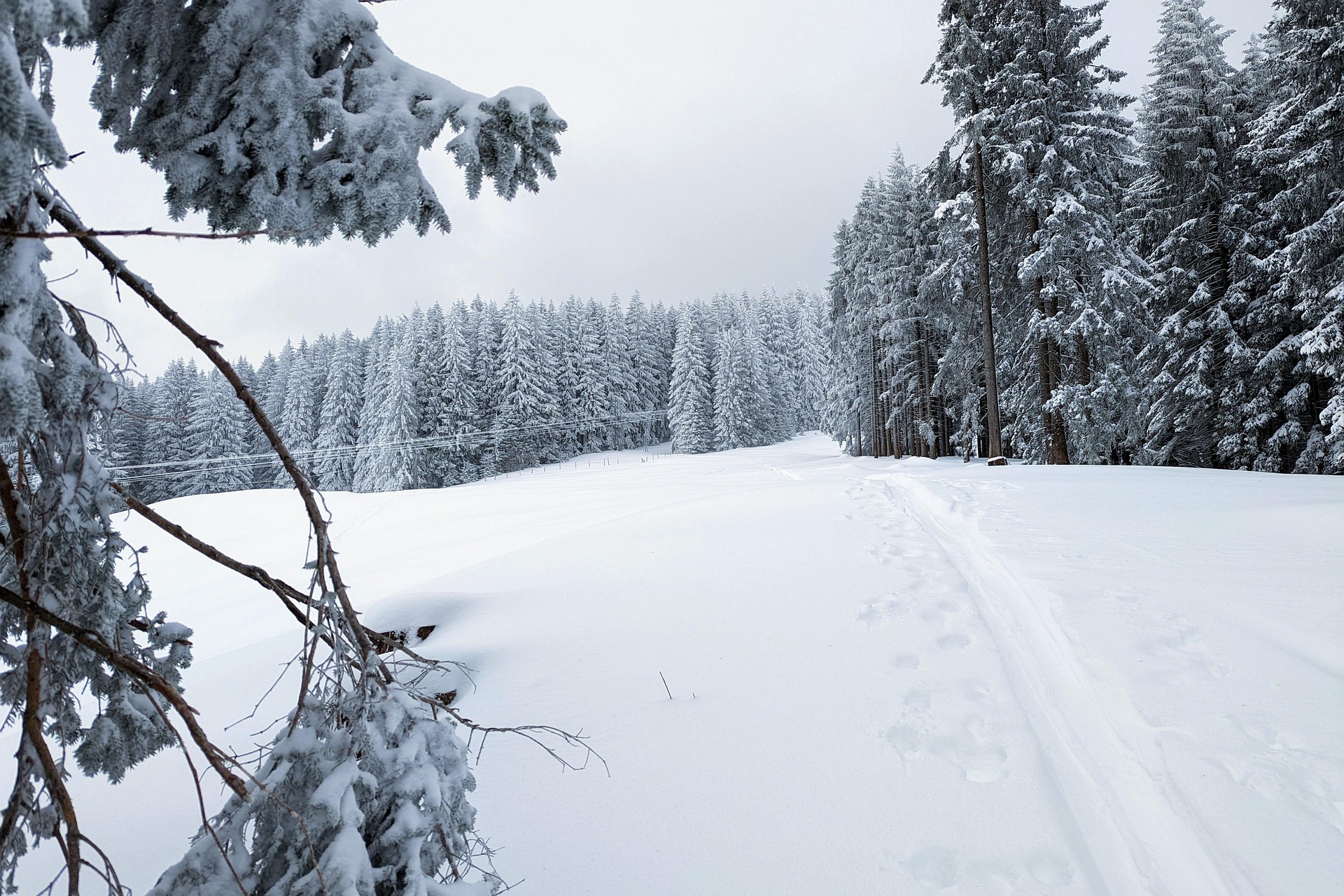 Winterlandschaft mit Spuren im Schnee.